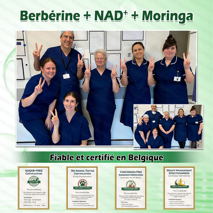 Boutique officielle 🇧🇪 | 👩‍⚕️💃 𝐆𝐋𝐎𝐑𝐄𝐍𝐃𝐀® Moringa · Berbérine + NAD+ – Patch Microneedle Nano Avancé 10-en-1 (1 patch/jour, résultats visibles en 7 jours)